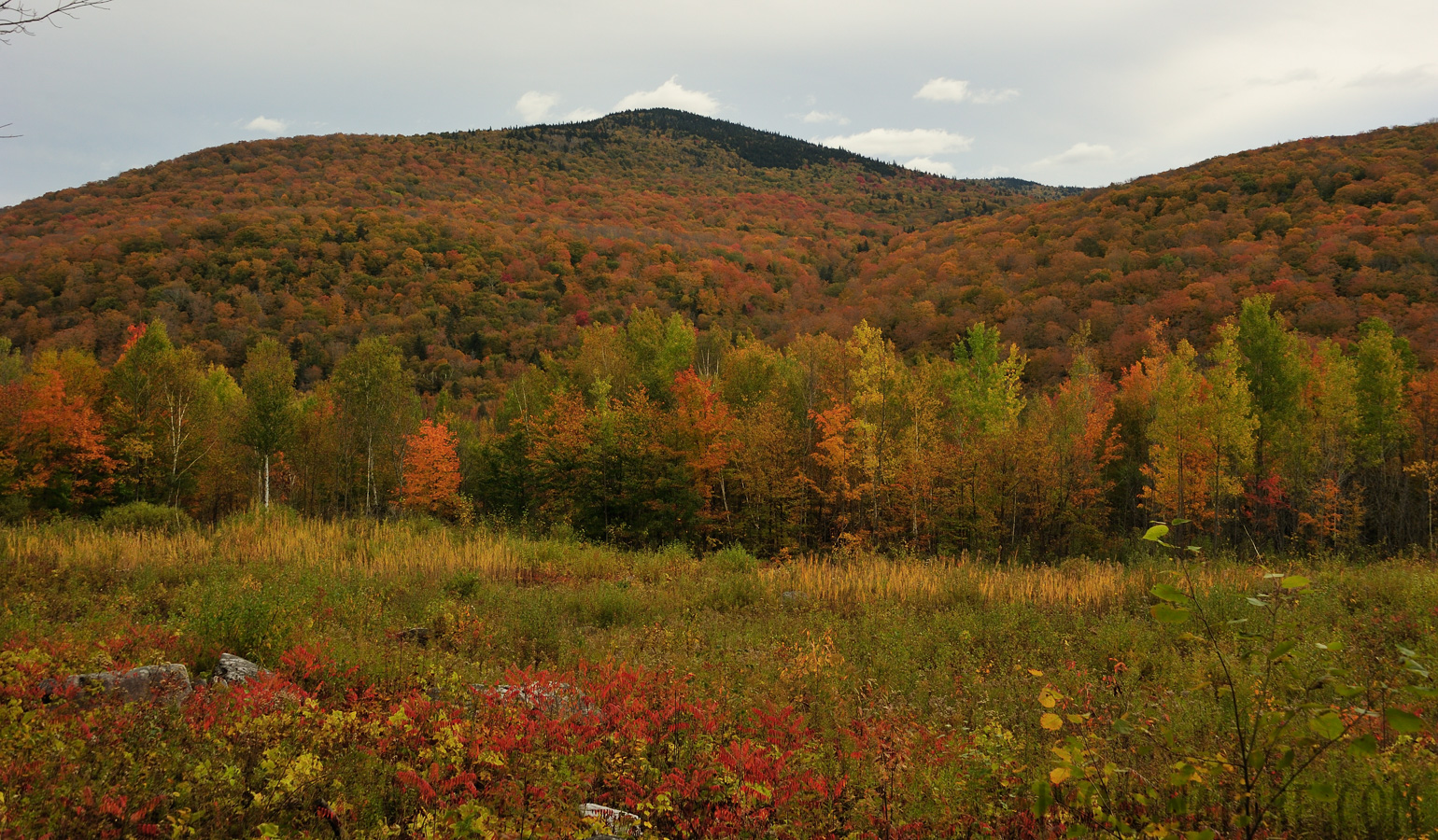 Vermont [38 mm, 1/400 Sek. bei f / 10, ISO 400]